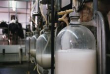 Illeciti industria latte
