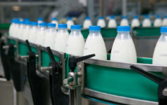 Rischio aumento prezzo latte