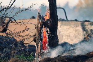 Incendi Coldiretti roghi estate 