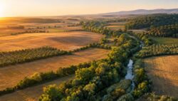 connettività ecologica